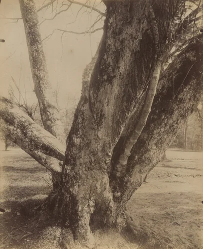 Petit Trianon by Eugène Atget, photograph, 1910