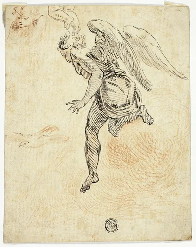 Flying Angel with Sketches of Dove and Putto's Head by Donato Creti, drawing, 1691-1749