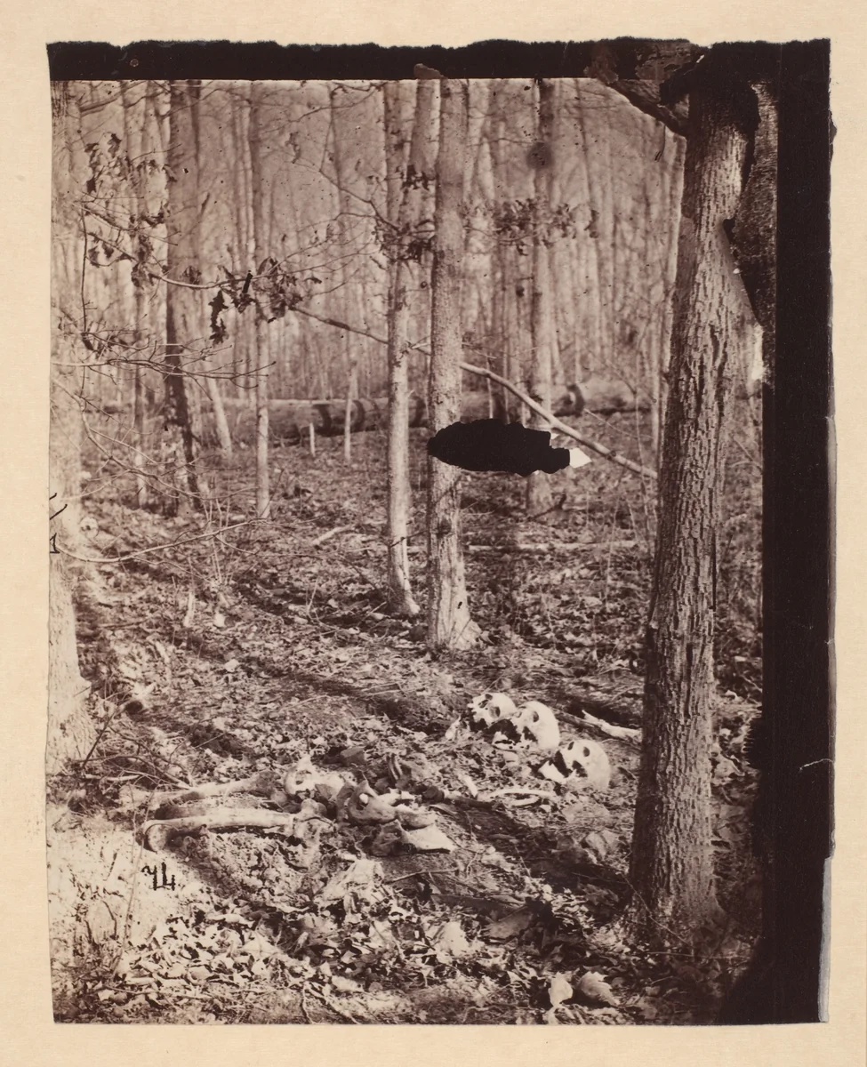 [The Wilderness Battlefield] by G. O. Brown, photograph, 1866