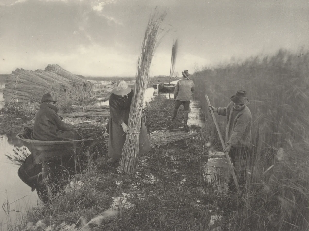 During the Reed-Harvest by T. F. Goodall, Peter Henry Emerson, photograph, 1886