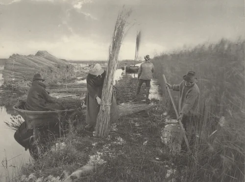 During the Reed-Harvest by T. F. Goodall, Peter Henry Emerson, photograph, 1886