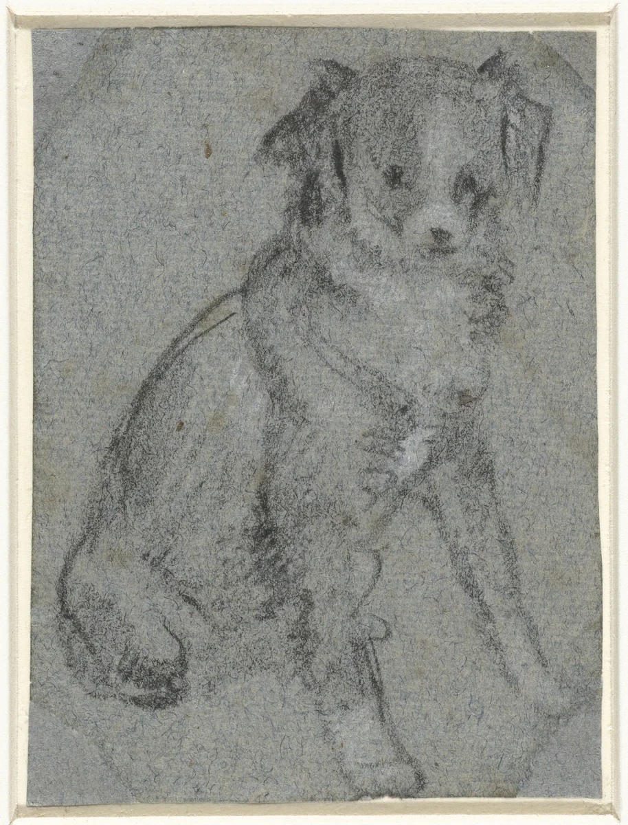 Zittend hondje by anonymous, drawing, 1550-1599