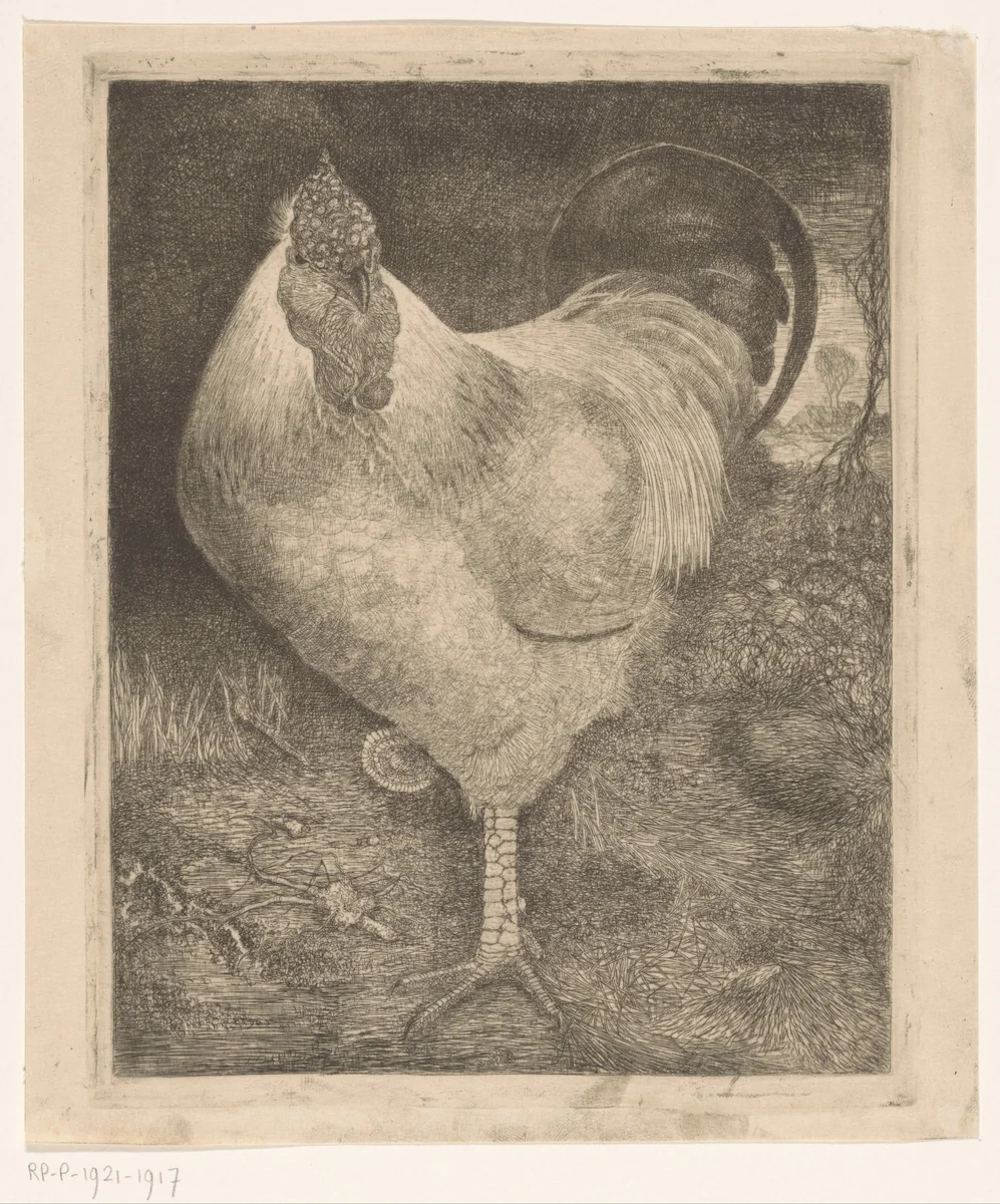 Haan op een poot by Jan Mankes, print, 1917