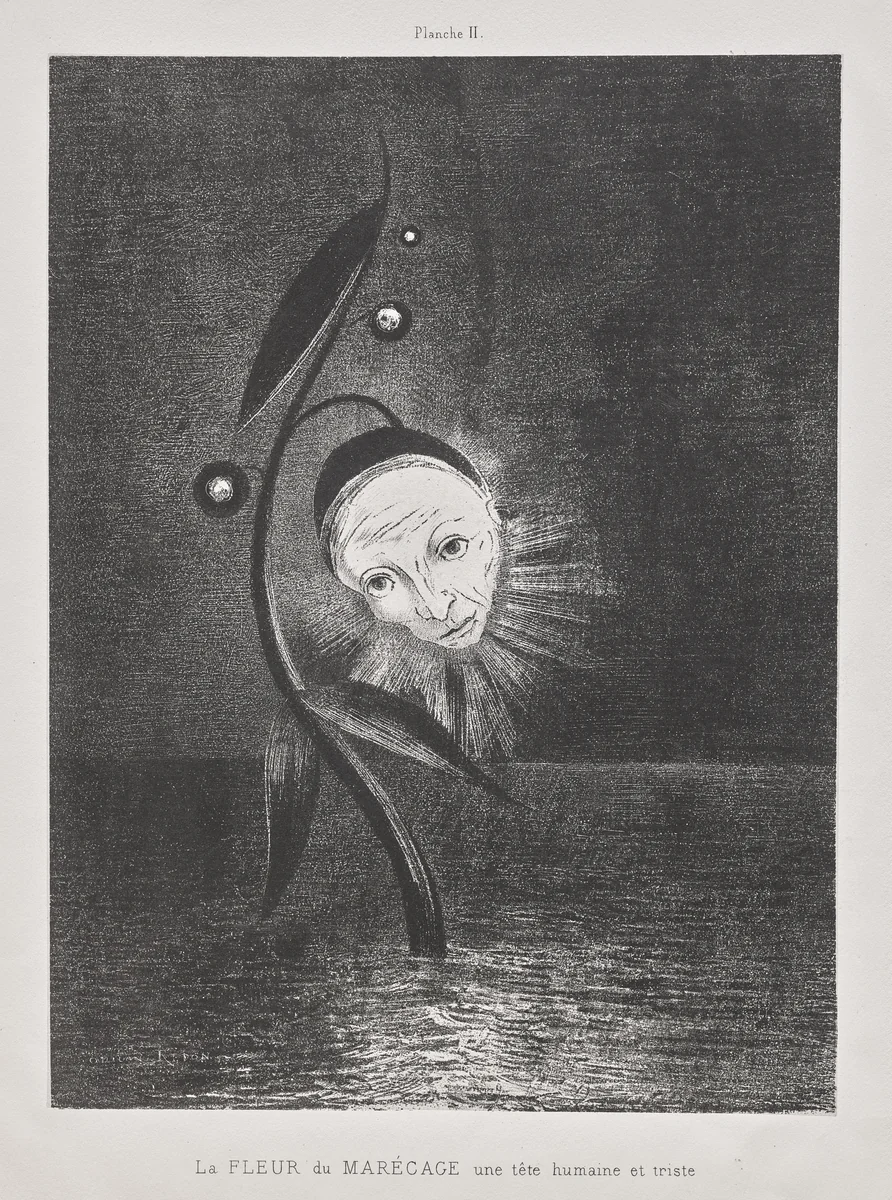 The Marsh Flower, a Sad Human Head by Odilon Redon, print, 1885