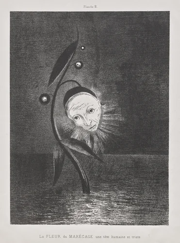 The Marsh Flower, a Sad Human Head by Odilon Redon, print, 1885