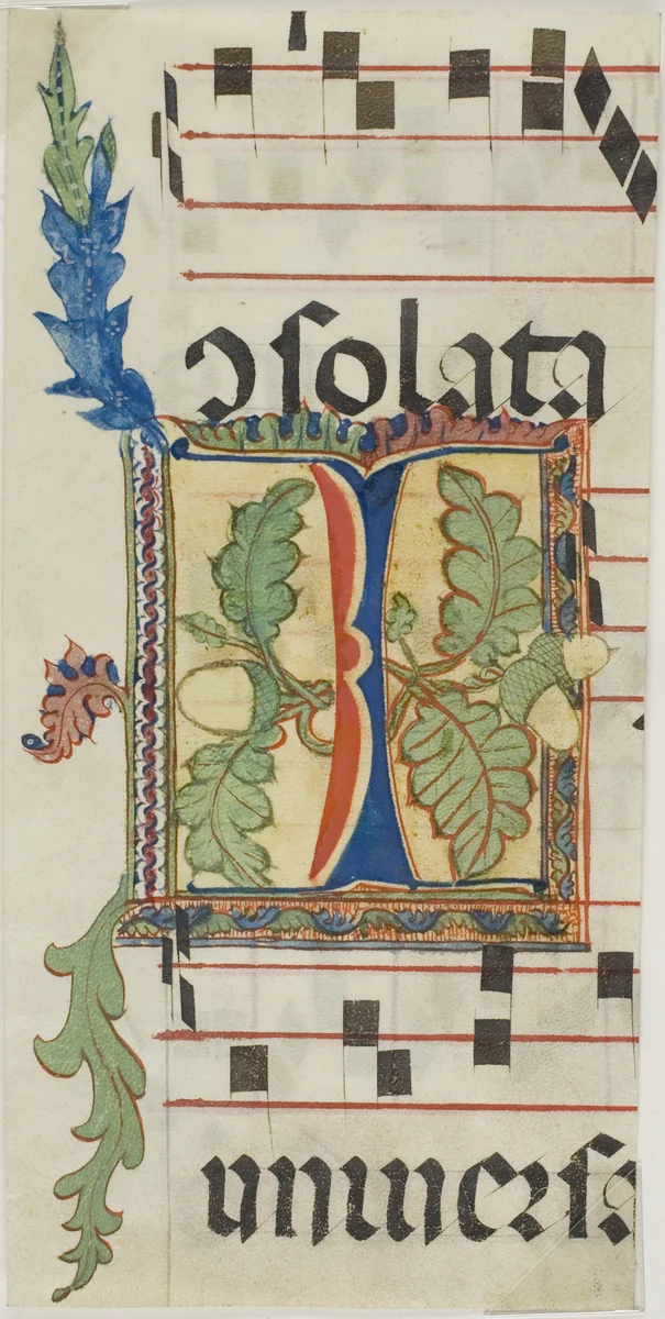 Decorated Initial "I" with Acorns and Leaves from a Choir Book by European, painting, 1300-1500