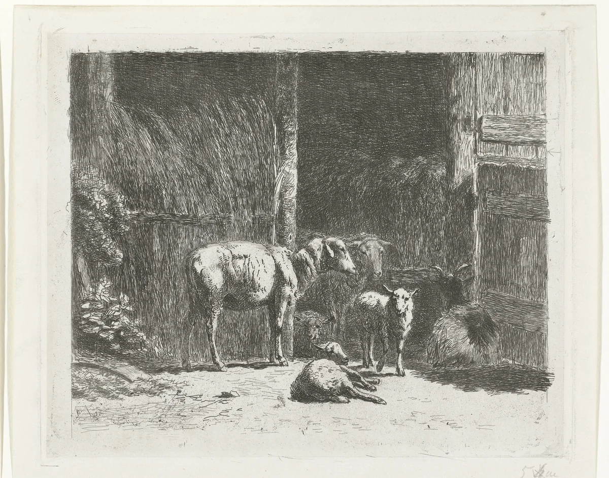 Schapen en lammeren en liggende bok bij stal by Simon van den Berg, print, 1822-1899