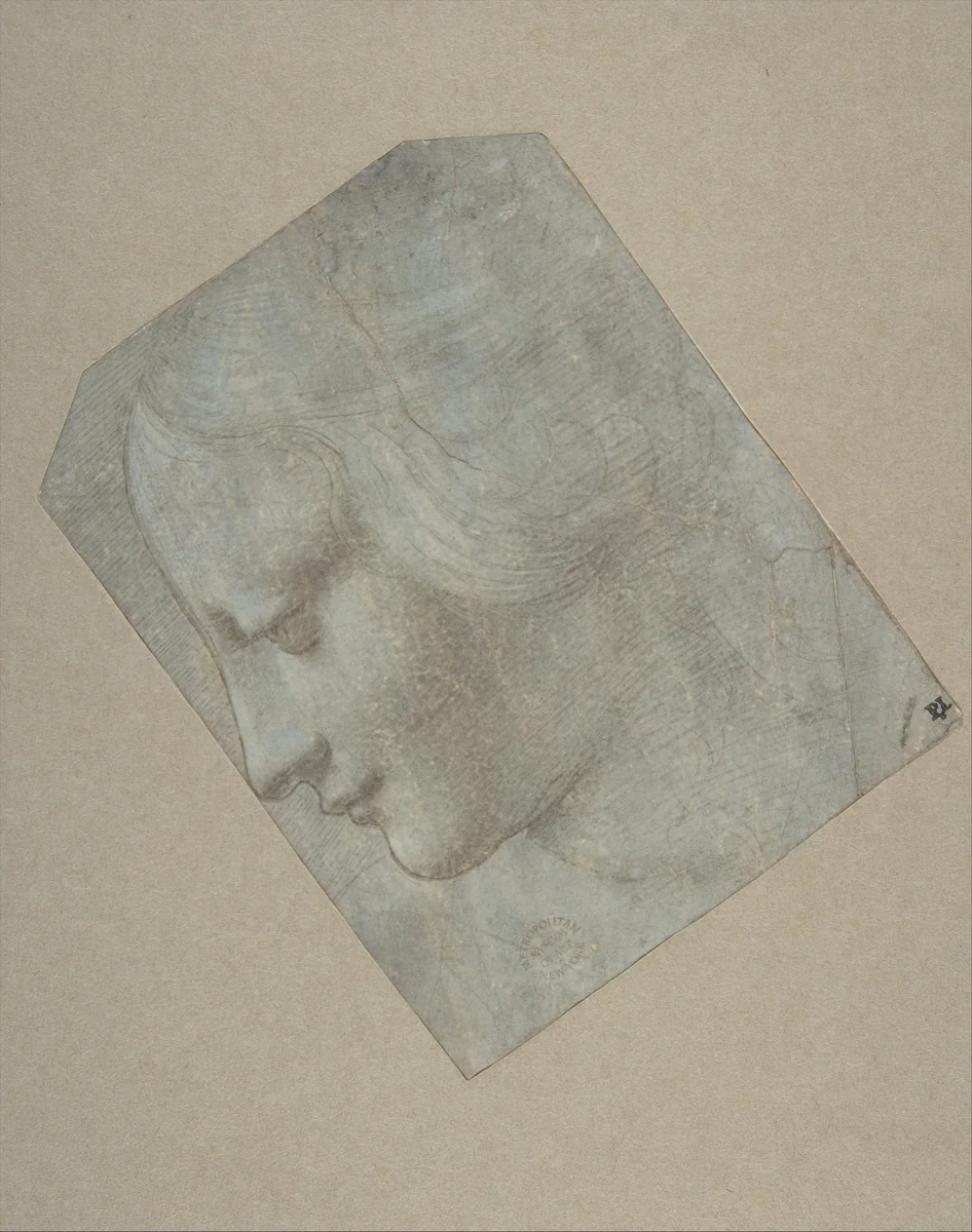 The Head of a Woman in Profile Facing Left by Giovanni Antonio Boltraffio, drawing, 1490-1500