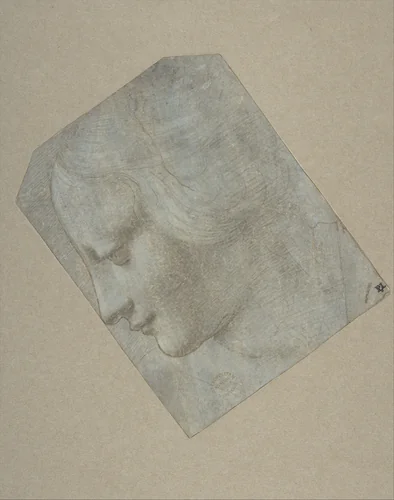 The Head of a Woman in Profile Facing Left by Giovanni Antonio Boltraffio, drawing, 1490-1500