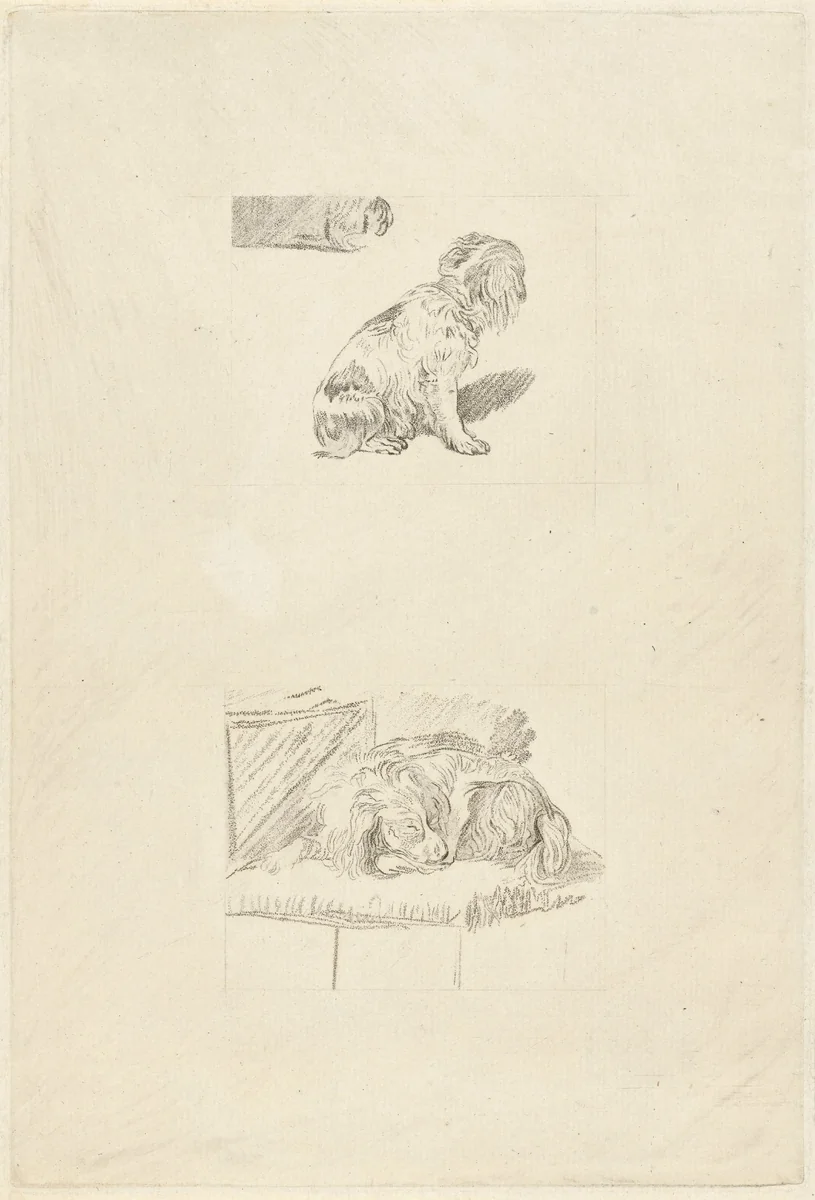 Zittend hondje en liggend hondje by Cornelis Ploos van Amstel, print, 1777