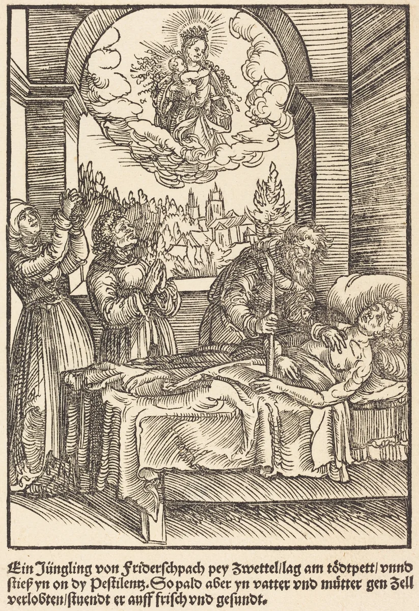 Ein Jungling von Friderschpach ... by Master of the Miracles of Mariazell, print, 1503