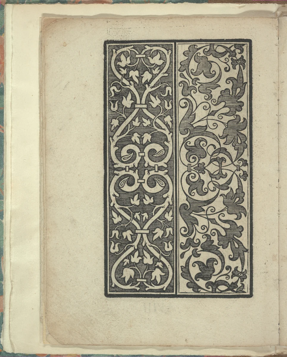 Opera Nova Universali intitulata Corona di racammi, page 8 (verso) by Giovanni Andrea Vavassore, book, 1530