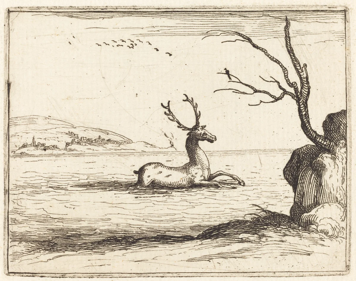 Stag in the Water by Jacques Callot, print, 1628