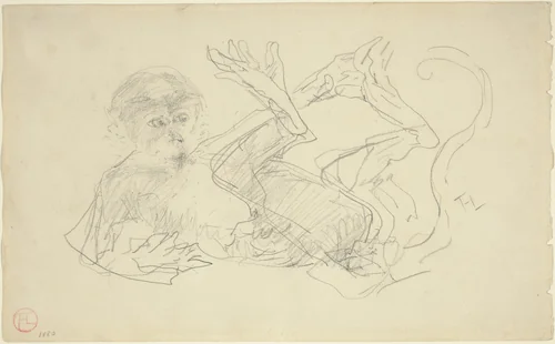 A Monkey Playing on His Back by Henri de Toulouse-Lautrec, drawing, 1880-1899
