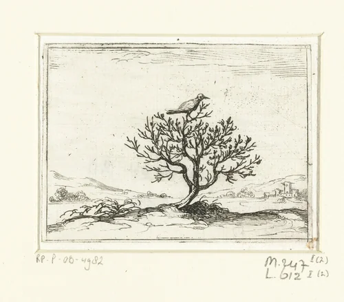 Nachtegaal op een struik by Jacques Callot, print, 1621-1635
