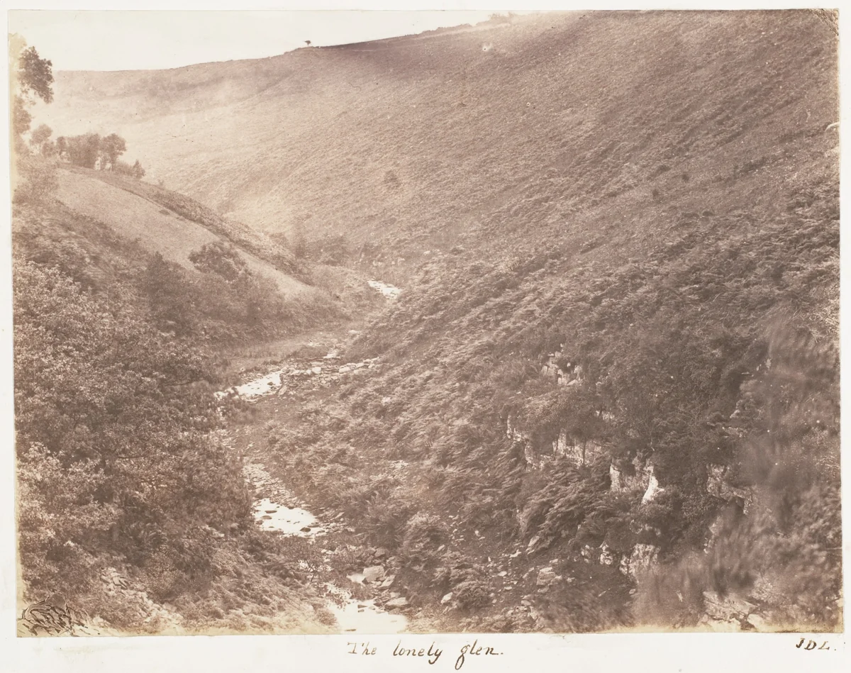 The Lonely Glen by John Dillwyn Llewelyn, photograph, 1853-1856