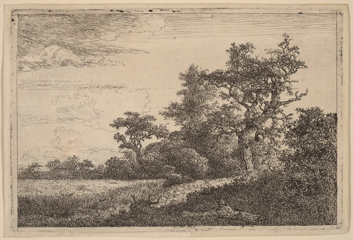Grain Field at the Edge of a Wood (Corn Field) by Jacob van Ruisdael, print, 1628-1682