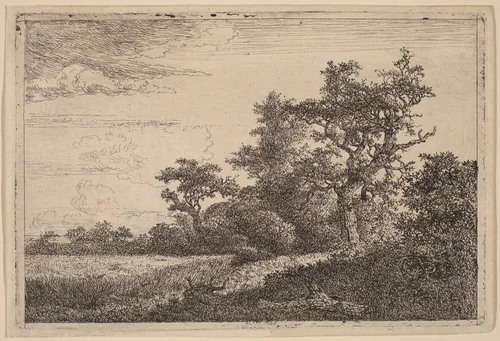 Grain Field at the Edge of a Wood (Corn Field) by Jacob van Ruisdael, print, 1628-1682