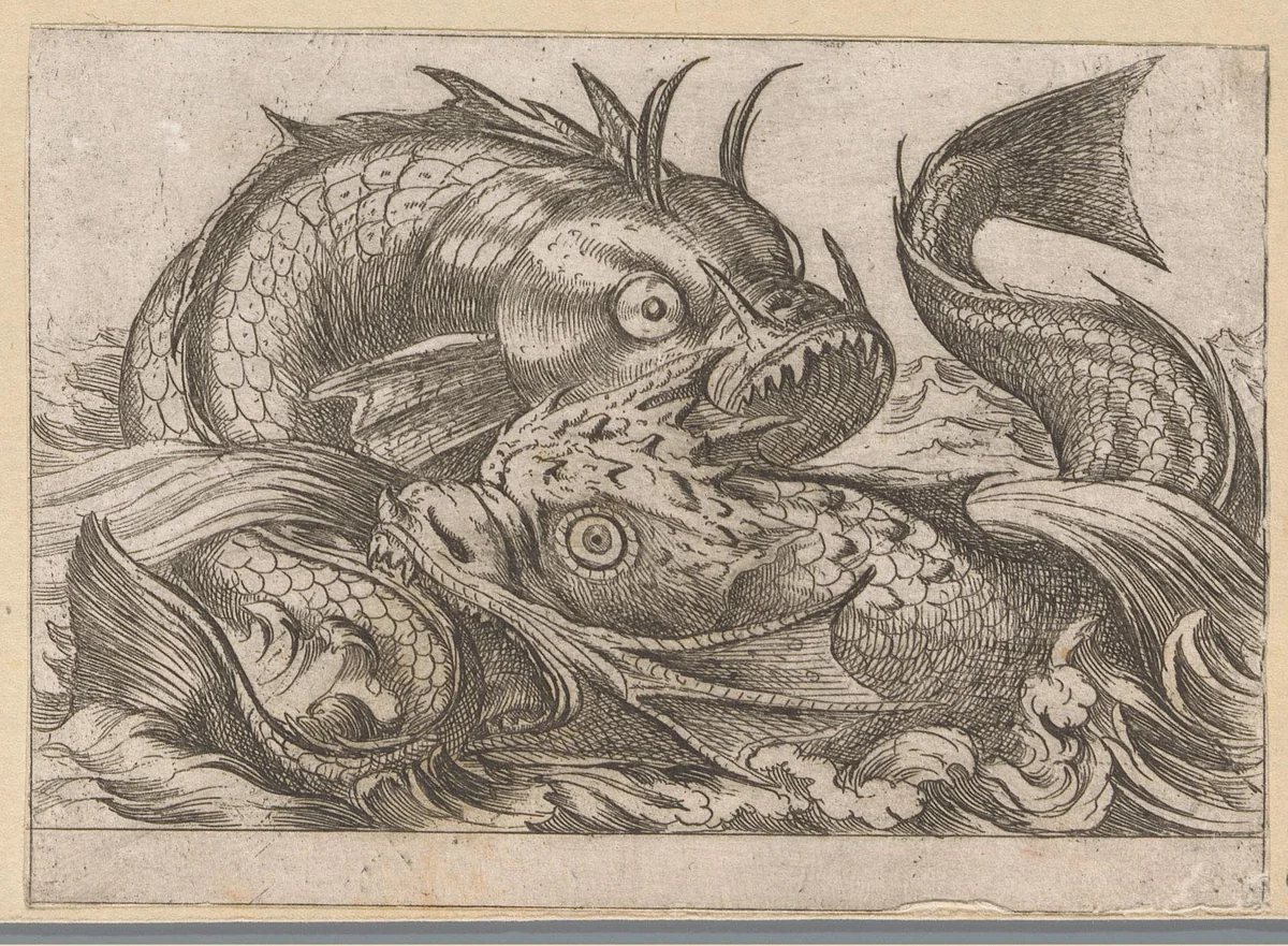 Twee vechtende vissen by Antonio Tempesta, print, 1600