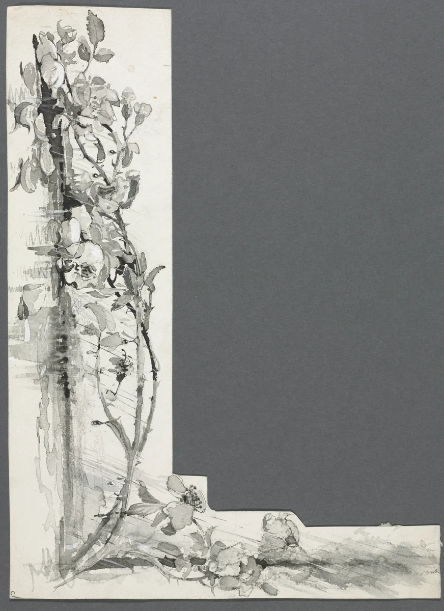 Flower Study by Harry Fenn, drawing, 1857-1911