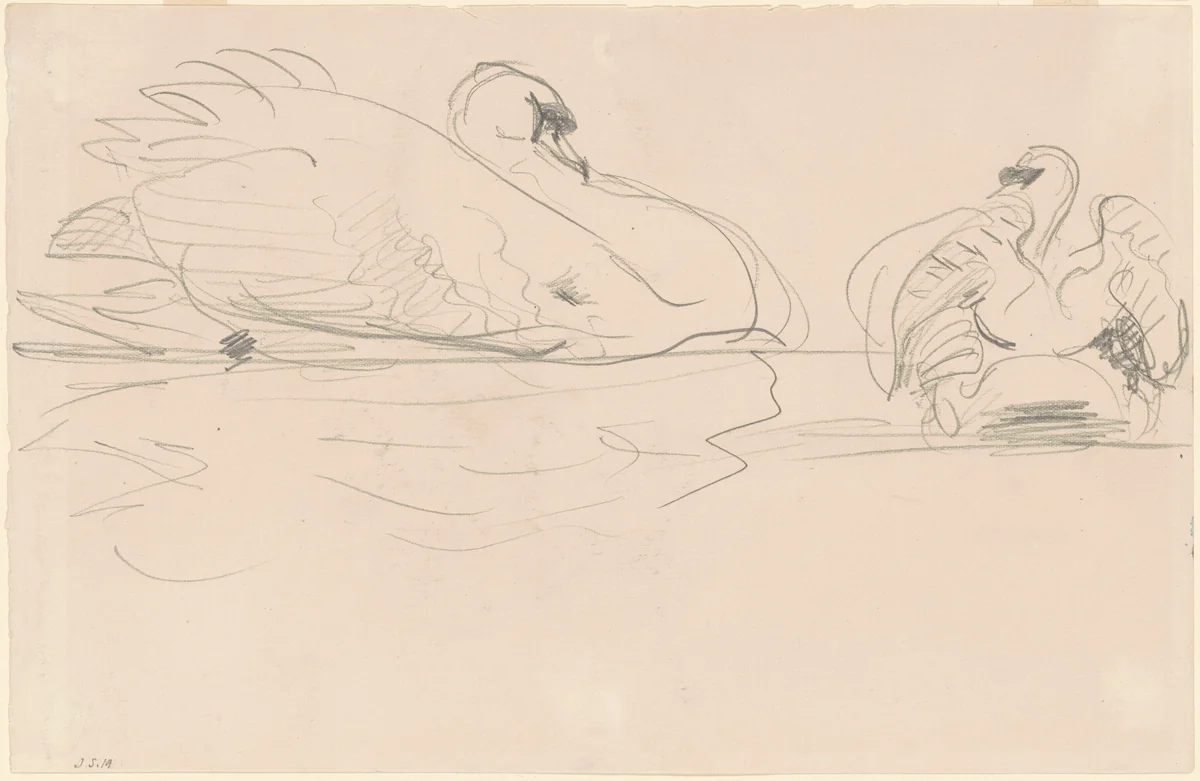 Swans in the Water by John Singer Sargent, drawing, 1880-1900