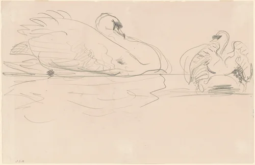Swans in the Water by John Singer Sargent, drawing, 1880-1900