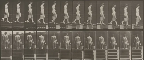Plate Number 120. Descending an incline with a bucket of water in right hand by Eadweard Muybridge, photograph, 1887