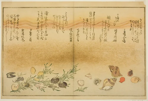 Beni-gai, hora-gai, urauzu-gai, wasure-gai, chiyonohana-gai, and masuho-gai, from the illustrated book "Gifts from the Ebb Tide (Shiohi no tsuto)" by Kitagawa Utamaro (喜多川歌麿), print, 1789
