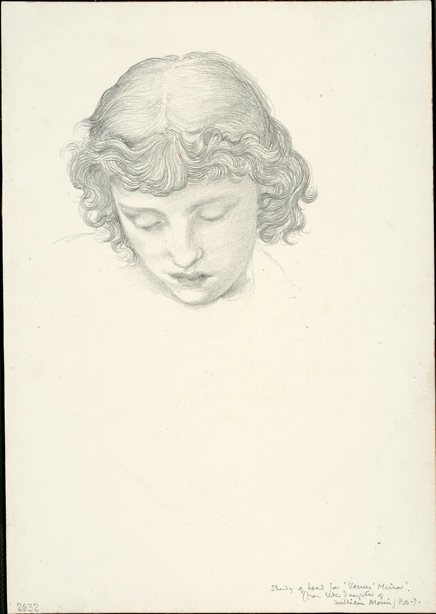 Study for Mirror of Venus: Head by Edward Burne-Jones, drawing, 1863-1877