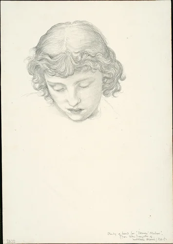 Study for Mirror of Venus: Head by Edward Burne-Jones, drawing, 1863-1877