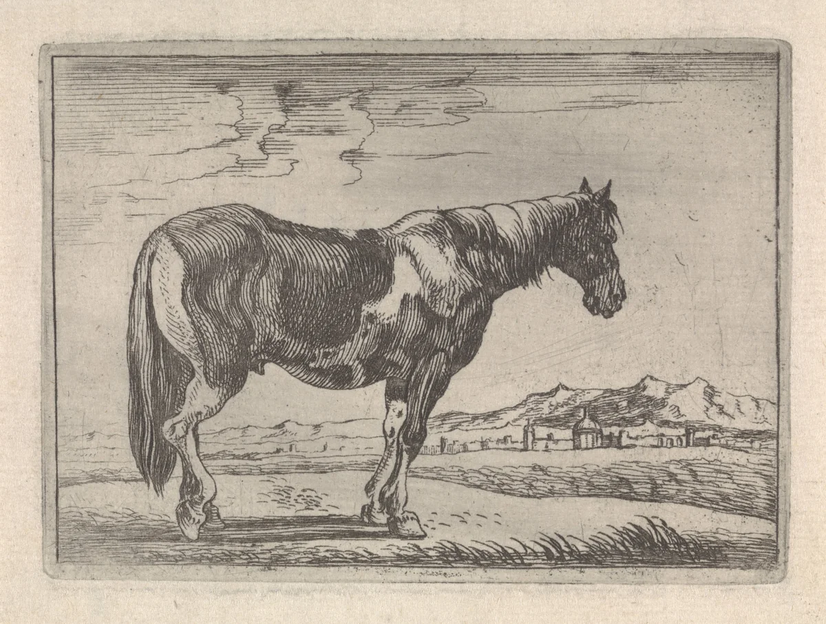 Staand paard by Theodorus van Kessel, print, 1654