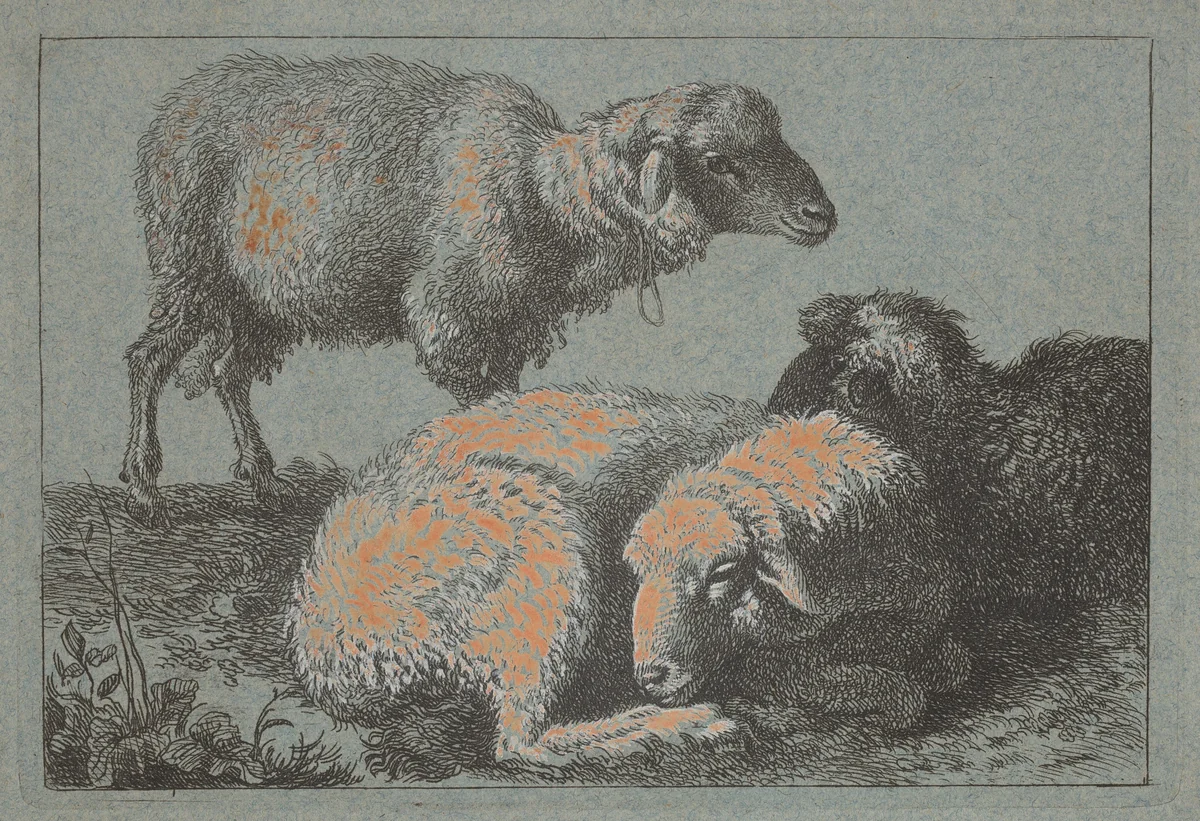 Two Reclining Sheep and One Standing Sheep by Francesco Londonio, print, 1723-1783
