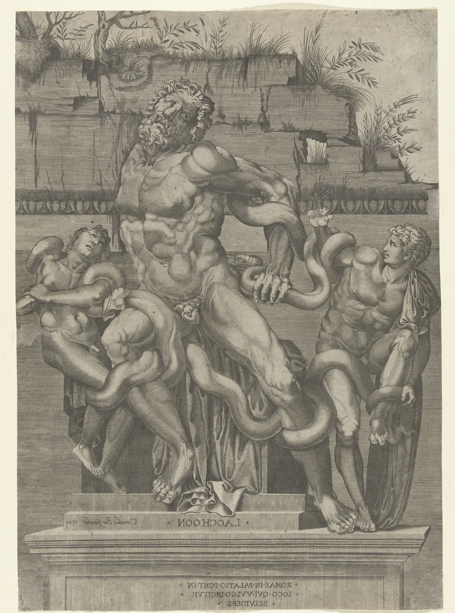 Laocoön en zijn zonen by Unknown, print, 1548
