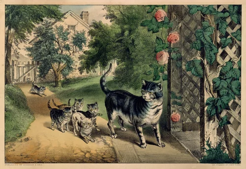 Pussy's Return by Currier & Ives, print, 1868-1878