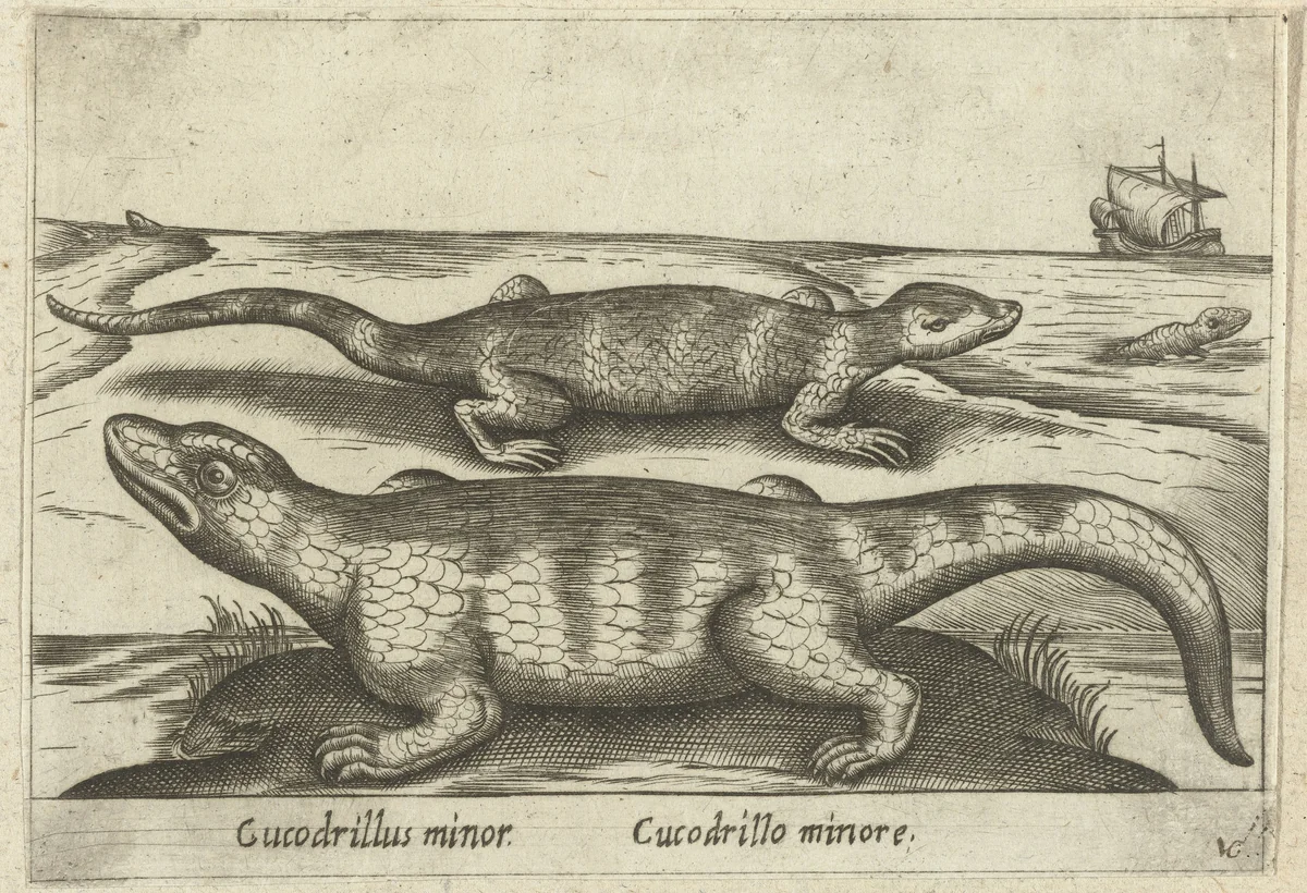 Kleine krokodillen by Antonio Tempesta, print, 1565-1630