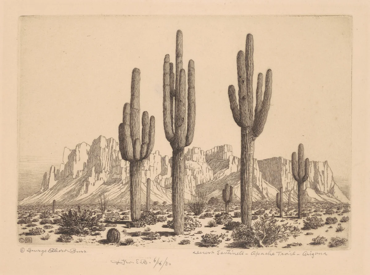 Desert Sentinels, Apache Trail, Arizona by George Elbert Burr, print, 1925-1935