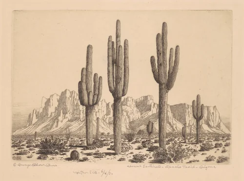 Desert Sentinels, Apache Trail, Arizona by George Elbert Burr, print, 1925-1935