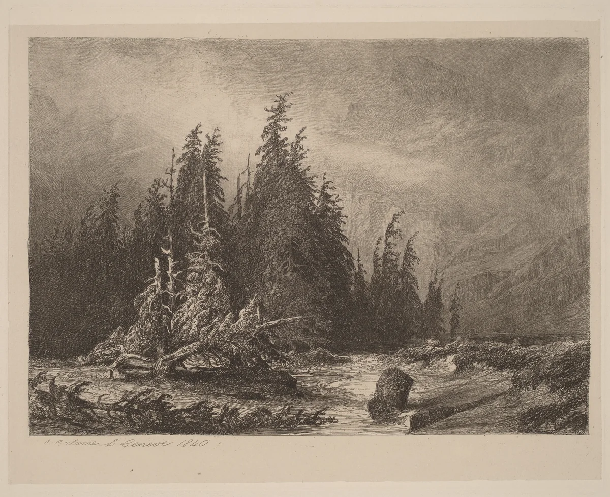 Mountain PInes by Alexandre Calame, portfolio, 1838-1850
