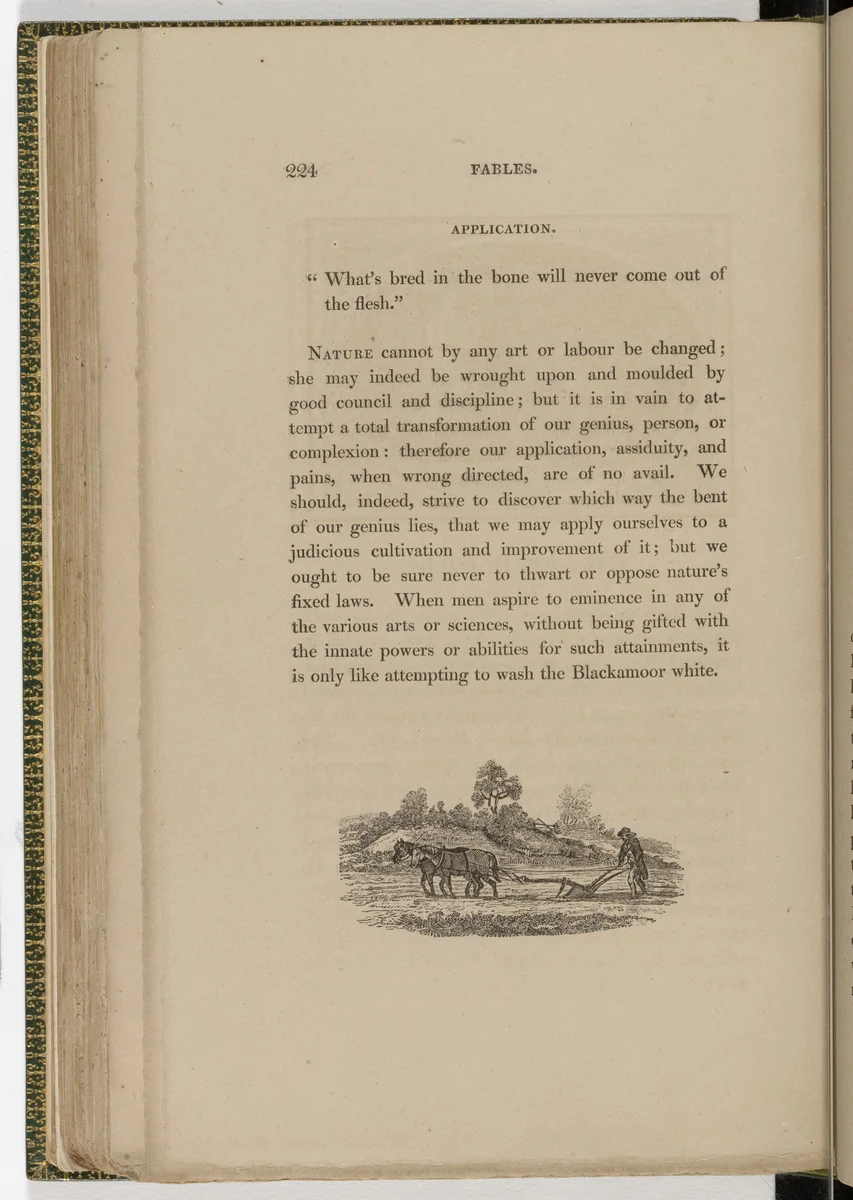 Tailpiece (page 224) from The Fables of Aesop by Thomas Bewick, illustrated book, 1818