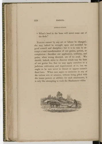 Tailpiece (page 224) from The Fables of Aesop by Thomas Bewick, illustrated book, 1818