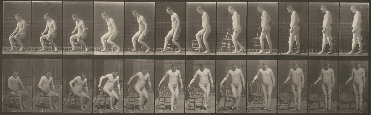 Plate Number 236. Placing chair and sitting down by Eadweard Muybridge, photograph, 1887