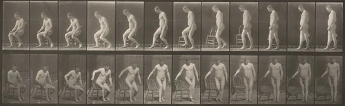 Plate Number 236. Placing chair and sitting down by Eadweard Muybridge, photograph, 1887