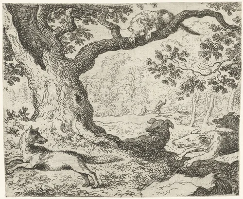 Kat in de boom by Allaert van Everdingen, print, 1665-1675
