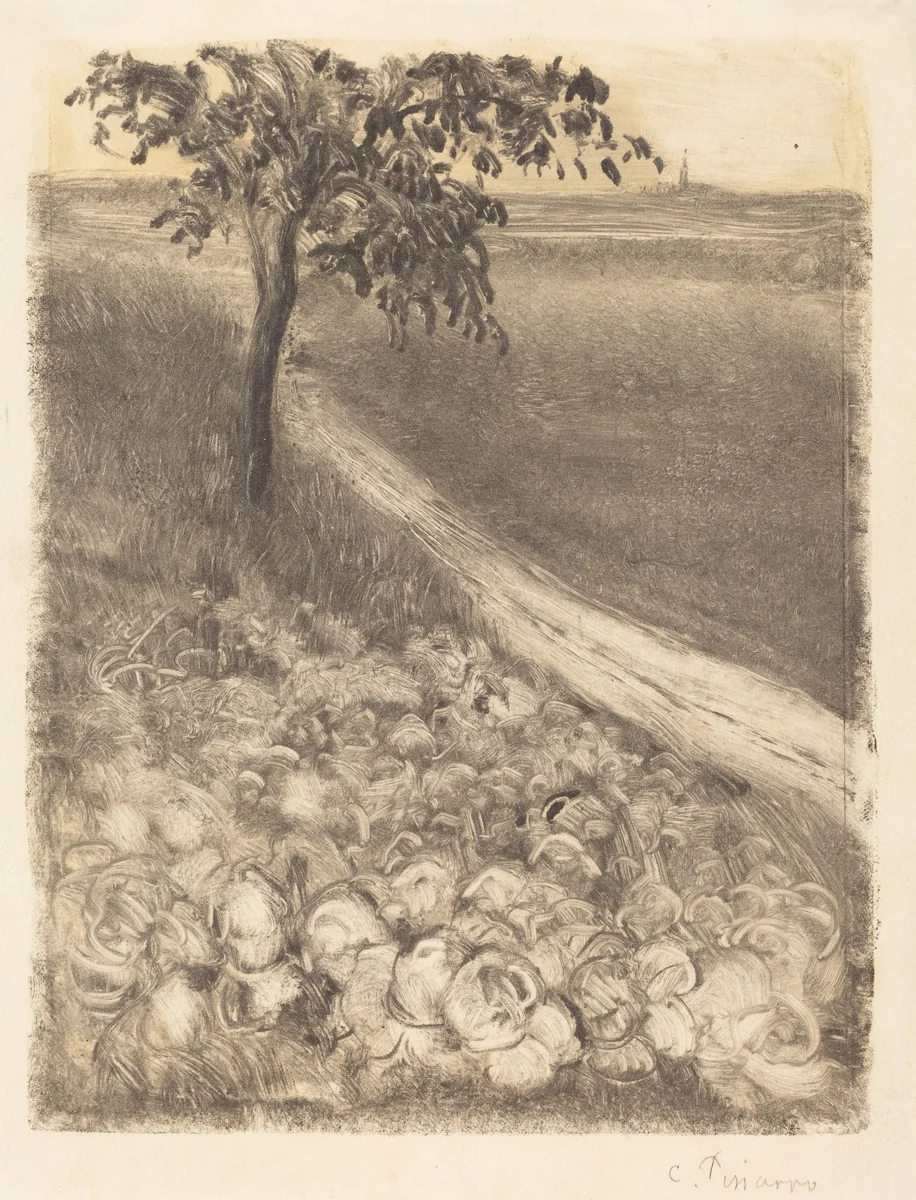 Road by a Field of Cabbages by Camille Pissarro, print, 1880
