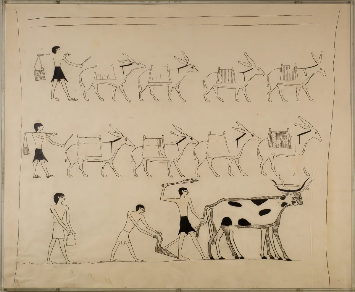 Laden Donkeys and Men Plowing, Tomb of Djari by Unknown Copyist, artwork, -2050