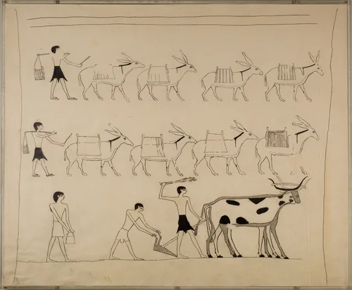 Laden Donkeys and Men Plowing, Tomb of Djari by Unknown Copyist, artwork, -2050