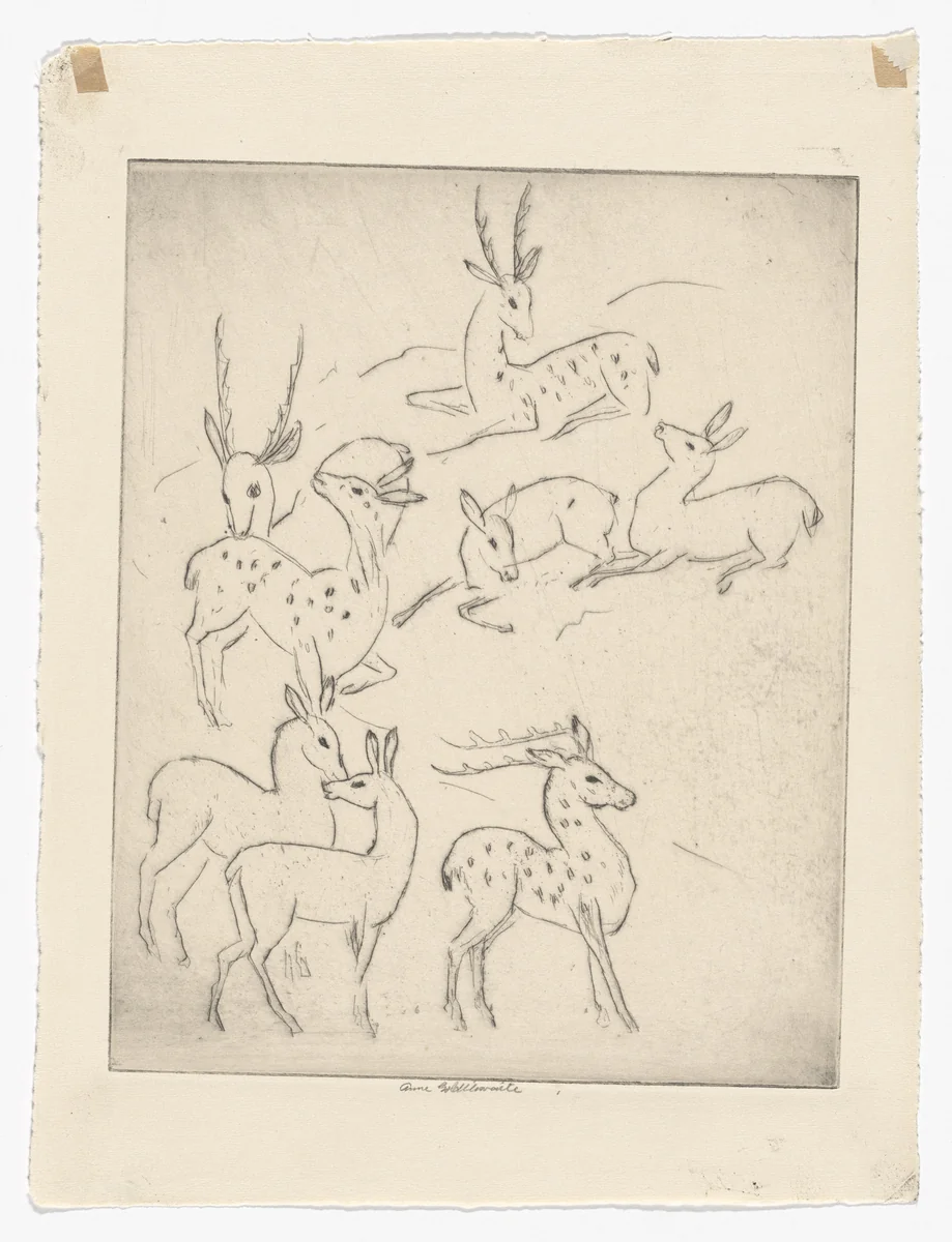 Herd of Deer by Anne Goldthwaite, print, 1928