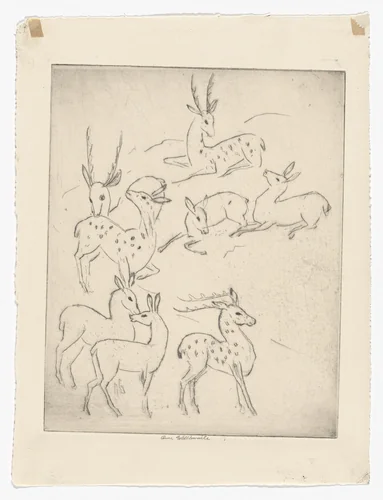 Herd of Deer by Anne Goldthwaite, print, 1928