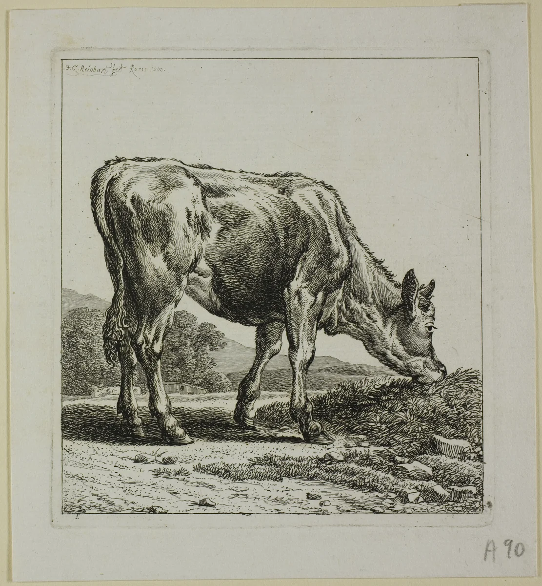 Calf Feeding, from Die Zweite Thierfolge by Johann Christian Reinhart, print, 1800