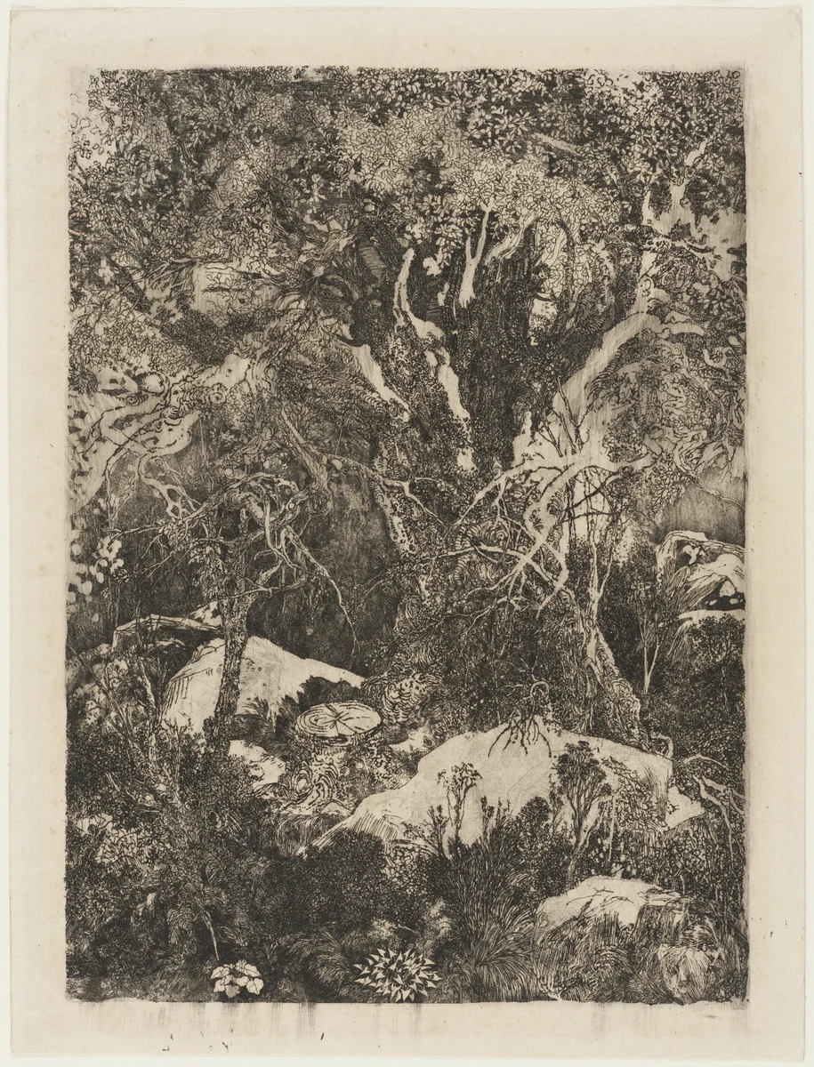 The Forest of Fontainebleau by Rodolphe Bresdin, print, 1880